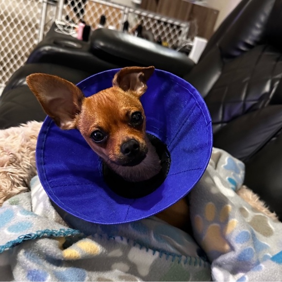 Meet Your Posher - Picture 9 of 16